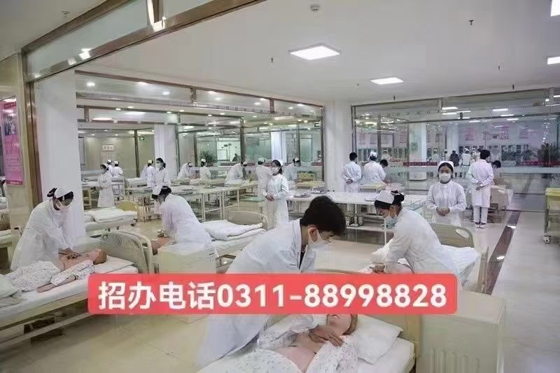 2024年石家莊天使護(hù)士學(xué)校招生簡章，開啟醫(yī)護(hù)夢想的新征程！