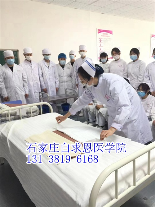 河北對(duì)口高考和對(duì)口單招有什么不同？